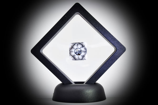 AKM Glass (Pipe Maker) Two Headed Skull Honeycomb Brain #2