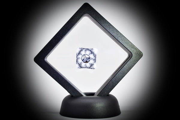 AKM Glass (Pipe Maker) Two Headed Skull Honeycomb Brain #3