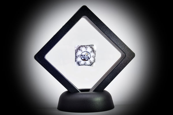 AKM Glass (Pipe Maker) Two Headed Skull w/ Honeycomb Brain #1