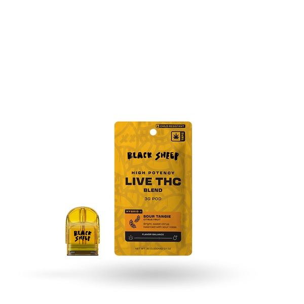 Black Sheep Live THC Blend Pod Refill in Sour Tangie flavor, 3g, showing the sleek pod design and branding.