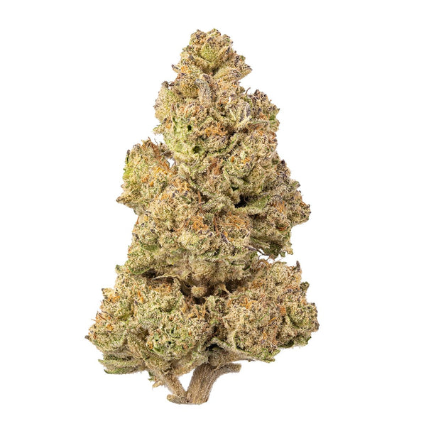 Zhitz Fire (28.611%) THCa Flower
